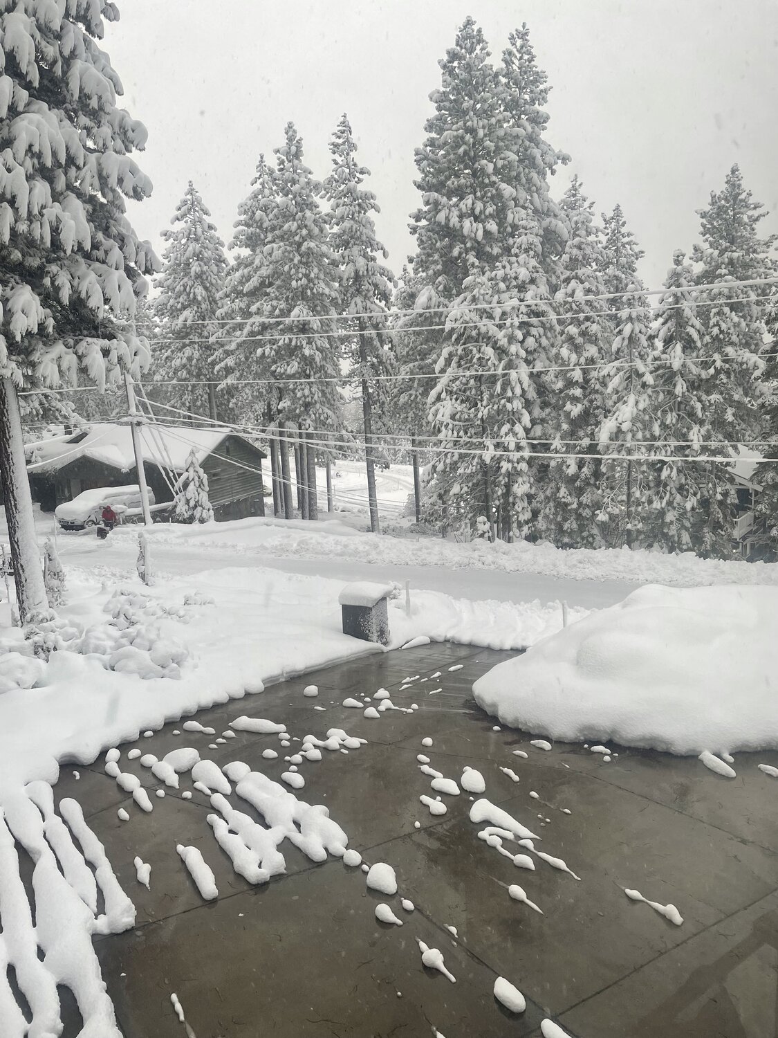 The heated driveway at Kinpine House clear of snow while deep drifts sit either side